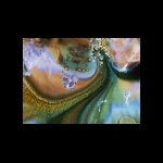 Inside abalone detail 8x10 in.jpg